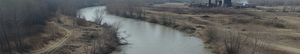 aerial view of a polluted river and dead vegetation around