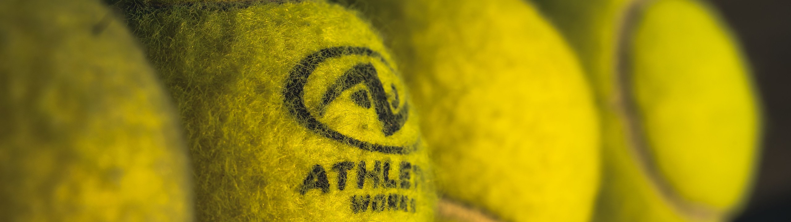 Close-up of yellow tennis balls